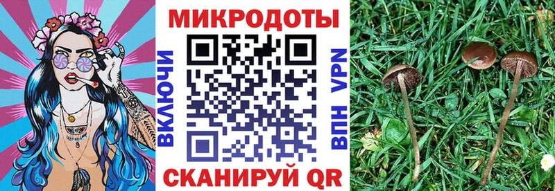 Галлюциногенные грибы мухоморы  МЕГА ссылка  Рубцовск  наркошоп 